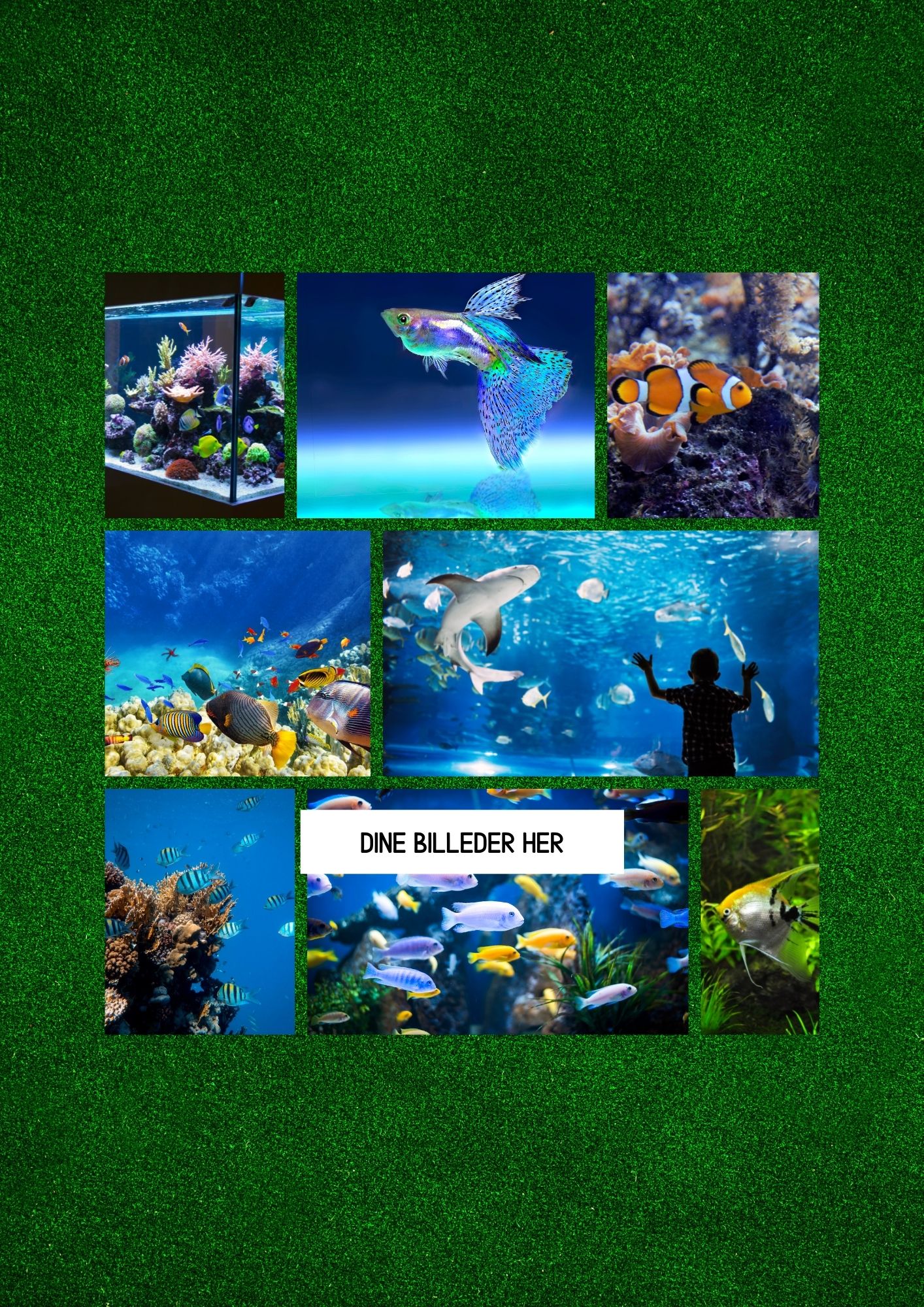 Classic 01-23d